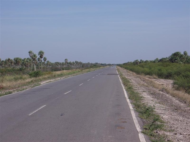 Concepcion - Cruce De Los Pioneros (10)